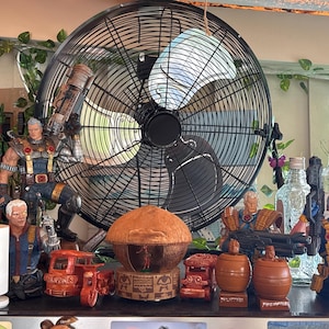 Forest added a photo of their purchase