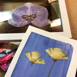 Amelia added a photo of their purchase