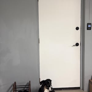Ángela added a photo of their purchase