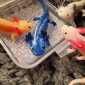 Veronica added a photo of their purchase