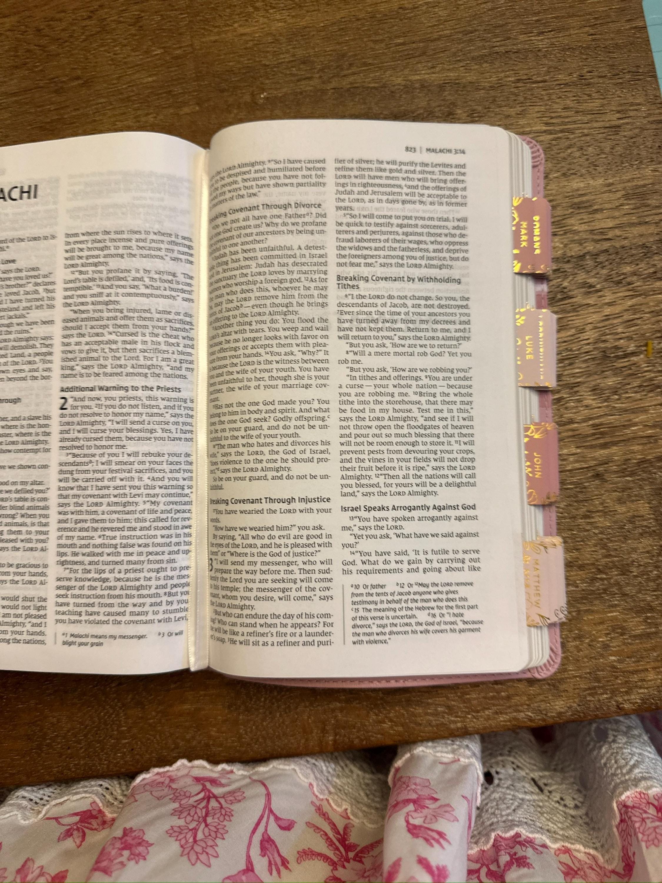 Custom Pink Bible with Tabs | NIV Women’s Bible | Personalized Christian Gift