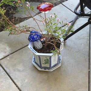 Ed added a photo of their purchase