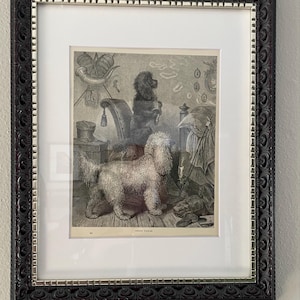 westjenn added a photo of their purchase