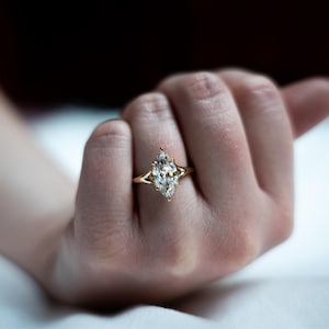 Bradley added a photo of their purchase