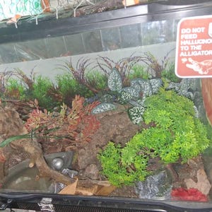 Skiler added a photo of their purchase