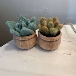 Kristen added a photo of their purchase