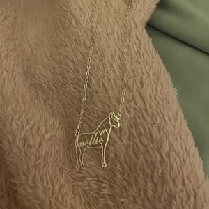 Lily added a photo of their purchase