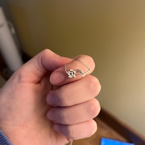 Molly added a photo of their purchase