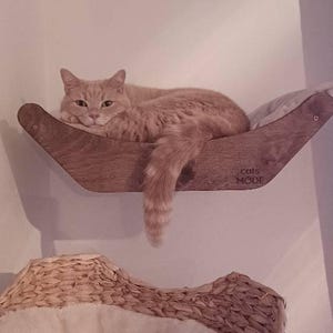 Debbie added a photo of their purchase