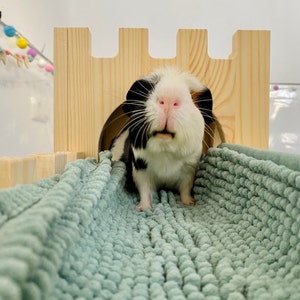 Saskia ha añadido una foto de su compra