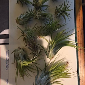 Bradshaw added a photo of their purchase