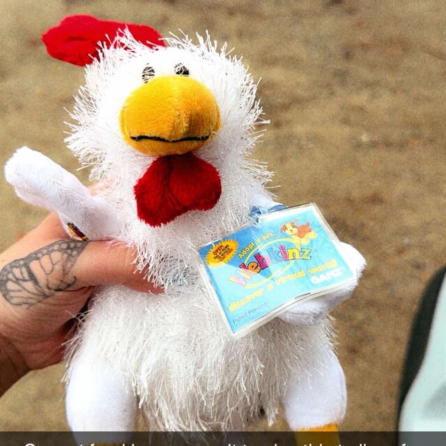 WEBKINZ Chicken HM 205/ Brand New With Sealed Code - Etsy