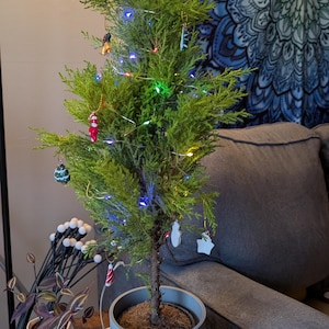 Jessy added a photo of their purchase