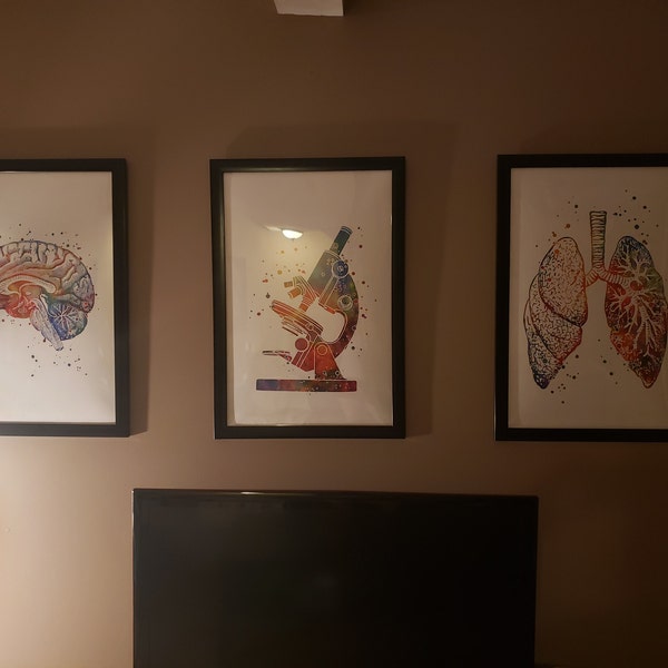 Neuroanatomy Art Print | Brain Anatomy Cross Section | Watercolor ...