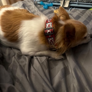 Sylvia added a photo of their purchase