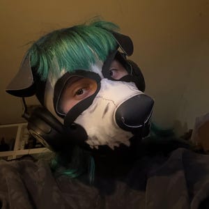 Pup Rex Dog Skull V1 Neoprene Pup Hood - Etsy