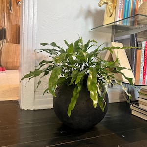 Andrew added a photo of their purchase