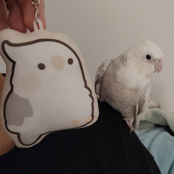 Lovebird Ripeness Chart Poster Etsy