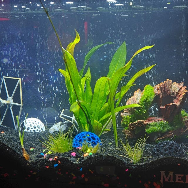 Grotte d'acquario, perdite di gamberetti per acquario | habitat per gamberetti di pesce, cupola angolare triangolare, per animali domestici, decorazione e alloggio