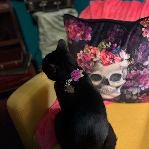 Tracy added a photo of their purchase