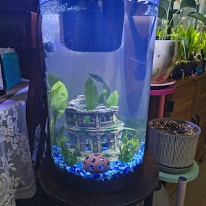 Christina added a photo of their purchase