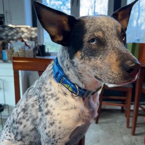 Corinne added a photo of their purchase