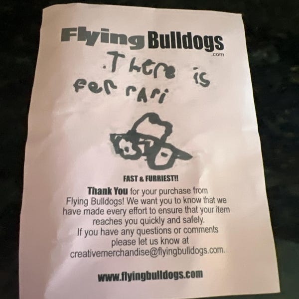 Free Spirit Martha Negley Garden Zinnia Toss Aqua Baumwollstoff