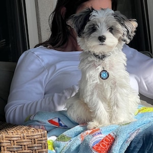 olivia ha añadido una foto de su compra