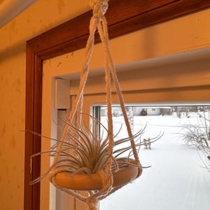Ruth added a photo of their purchase