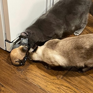 Leah hat ein Foto des gekauften Artikels hinzugefügt