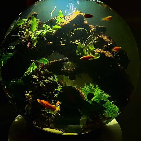 Gallery image with a fresh perspective