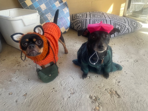 Customer photo of a pet with the Beret Personalized for small pet Raspberry