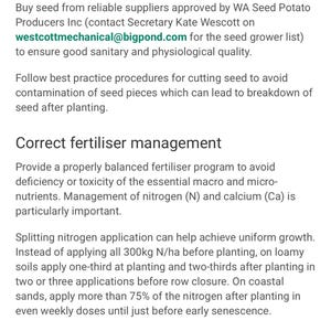 Heirloom Roma II OP Bush Bean Seeds Non GMO Stringless Italian Bean - Etsy