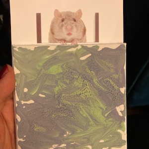 alli ha aggiunto una foto del proprio acquisto