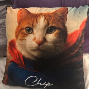 Jill added a photo of their purchase