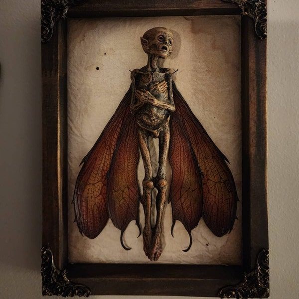 Mummified Dead Fairy Shadow Box – Cryptid Specimen, Gothic Curiosity ...