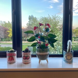 Claire dodał(a) zdjęcie swoich zakupów