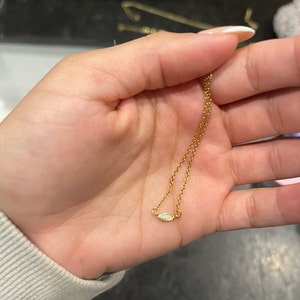 Lexi added a photo of their purchase