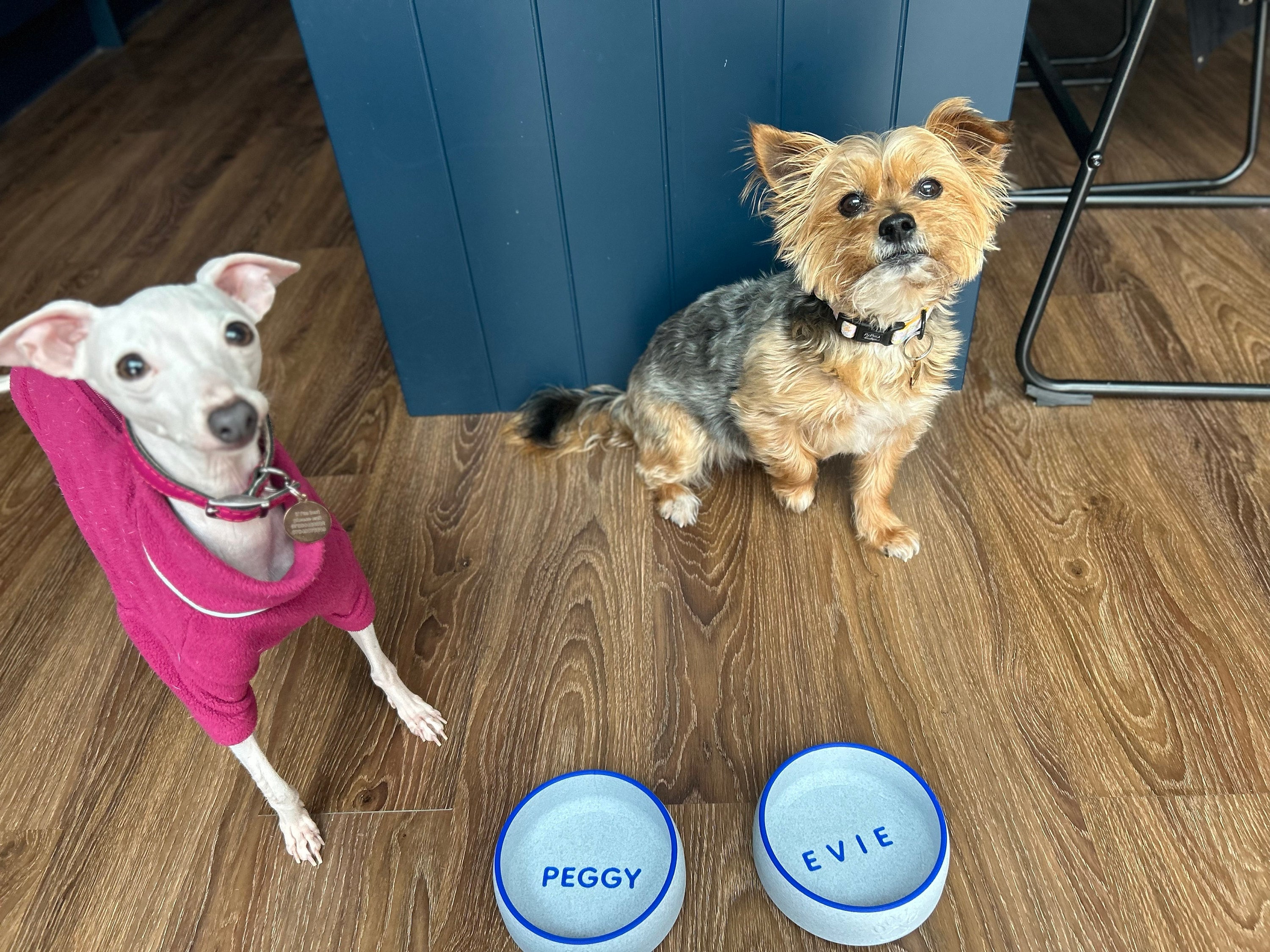Personalized Dog Bowl with Name