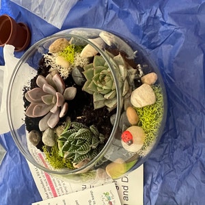 Jenna added a photo of their purchase