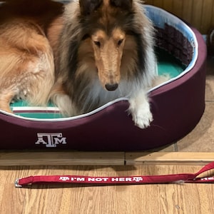 Lari added a photo of their purchase