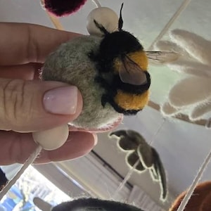 Mindy added a photo of their purchase