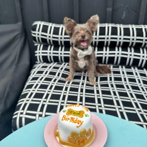 Rae added a photo of their purchase