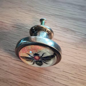 Terri hat ein Foto des gekauften Artikels hinzugefügt