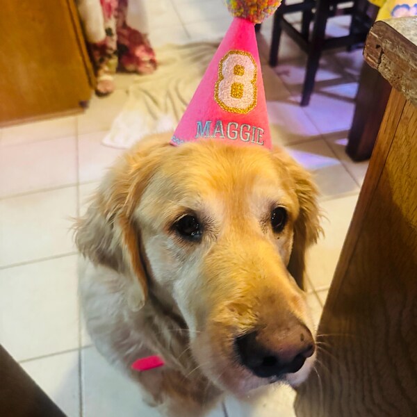 Dog Birthday Crown Svg Mini Felt Birthday Crown U2013 Belle's