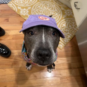 Jamie ha añadido una foto de su compra