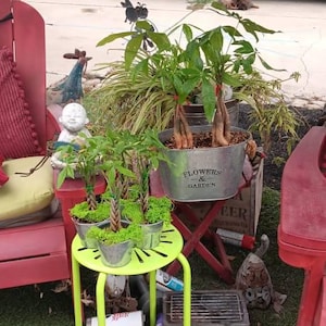 Irma added a photo of their purchase
