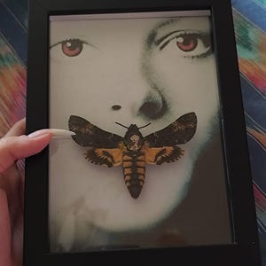 vamp ha aggiunto una foto del proprio acquisto