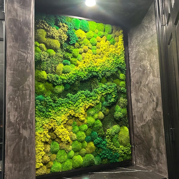 Moss Wall Art. Moss Picture. Moss Wall. Greenwall. Moss Frame ...