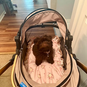Shella added a photo of their purchase
